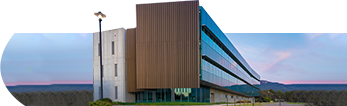 Termites control & Treatment