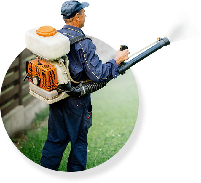 Pest control worker