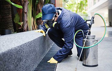 Pest control Sydney