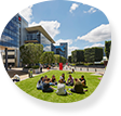 Pest control Sydney