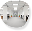 Pest control Sydney