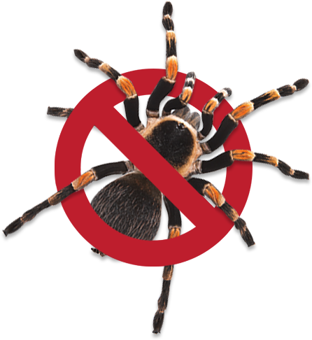 Pest Control Sydney, Fast Pest Control, Best Pest Control Company in Sydney