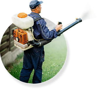 Pest Control Importance