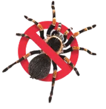 Spider Badge