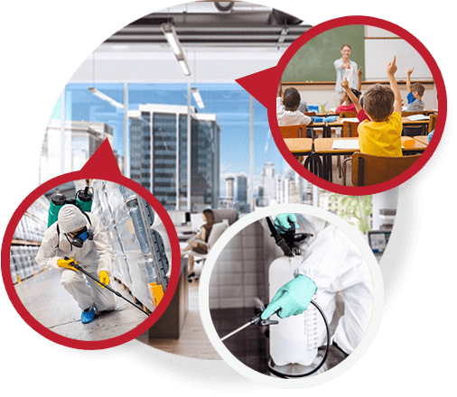 Pest control sydney -pest inspection