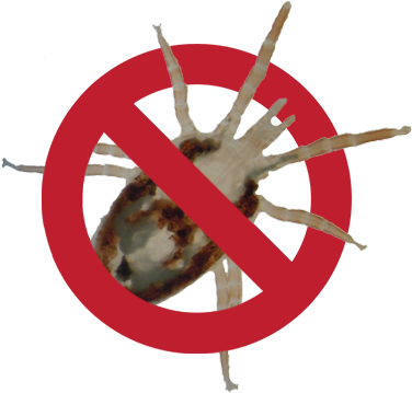 No-birdlice