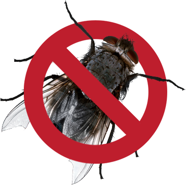 No-flies