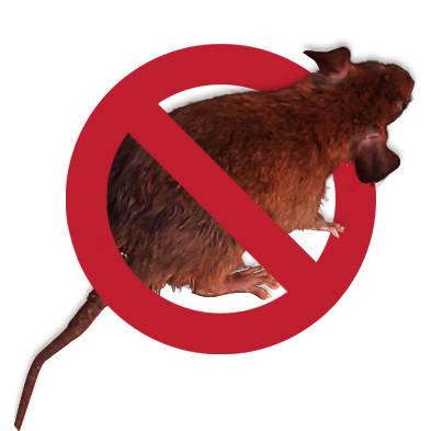 No-mouse