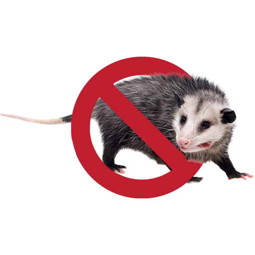 No-Possum