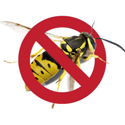 Pest control sydney