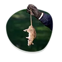 Providing Long Term Pest Control Services